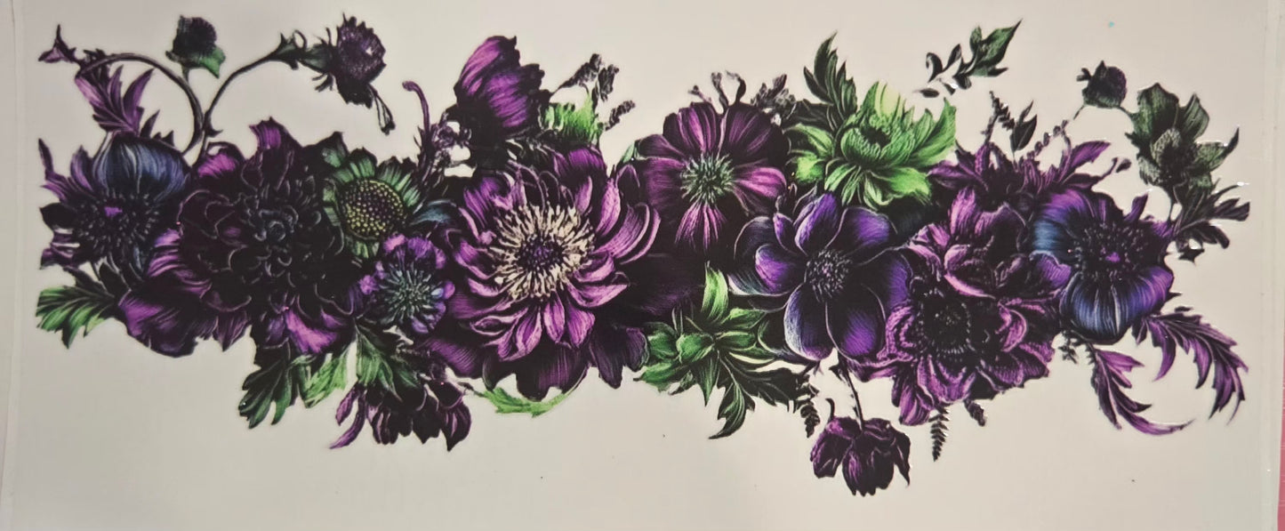 Sunflower's,Flowers & Plants