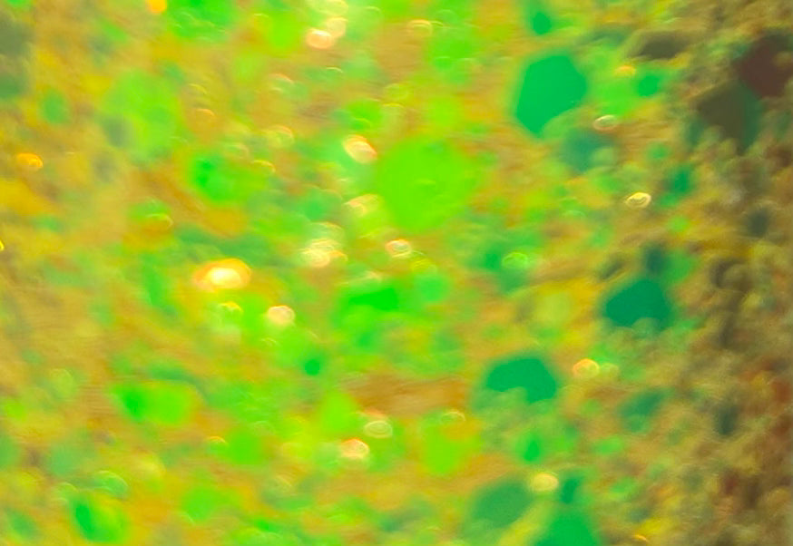 Adeliza's Glitter