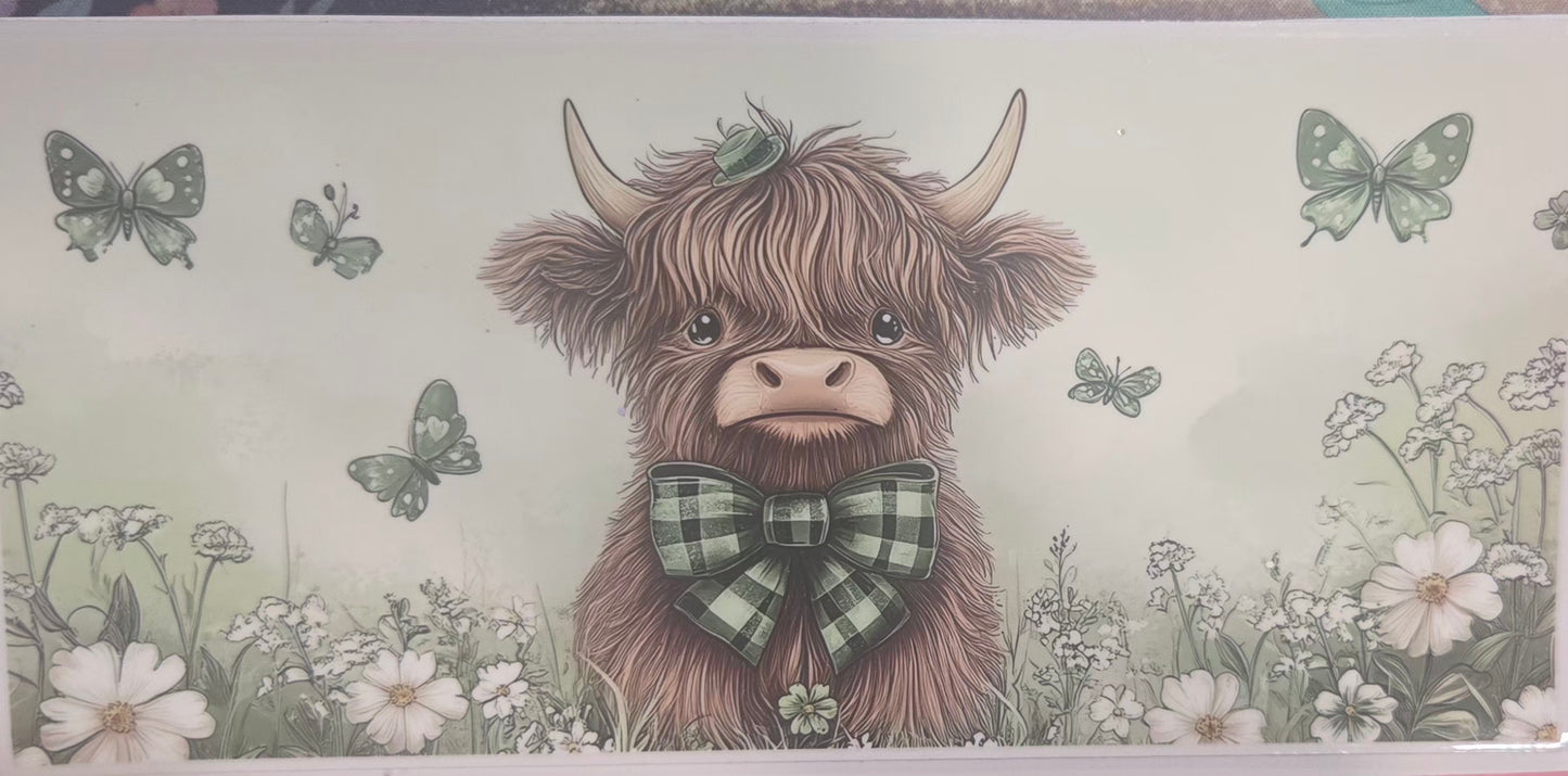 Cows Highland
