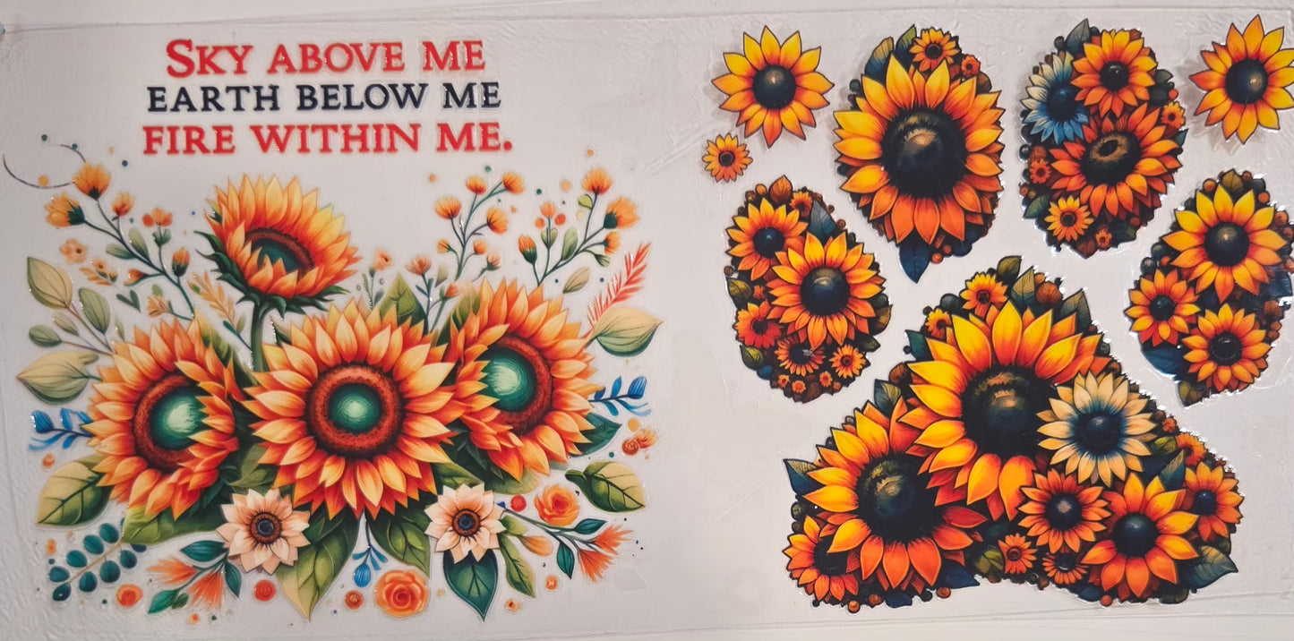 Sunflower's,Flowers & Plants