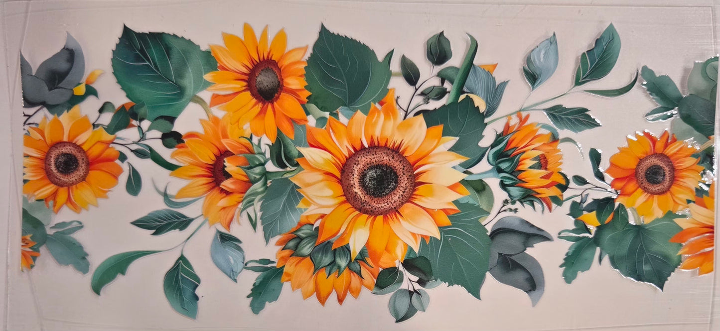 Sunflower's,Flowers & Plants