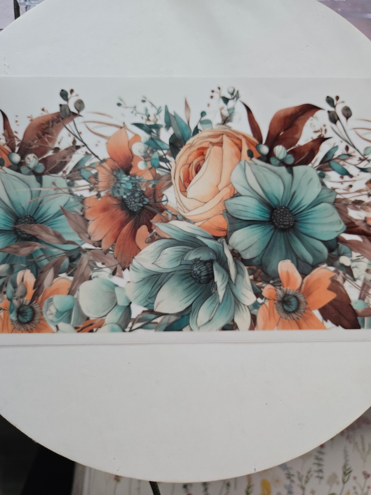 Sunflower's,Flowers & Plants