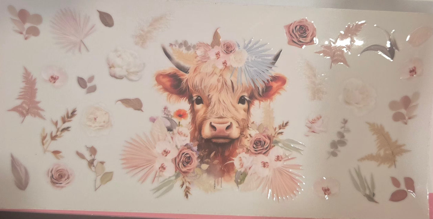 Cows Highland