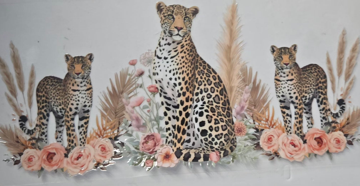 Cat, Dog, Insects, Frogs Animals
