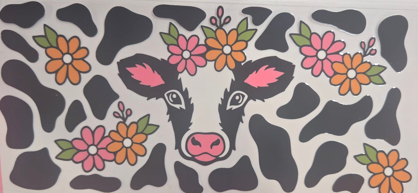 Cows Highland