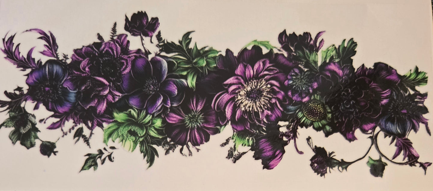 Sunflower's,Flowers & Plants