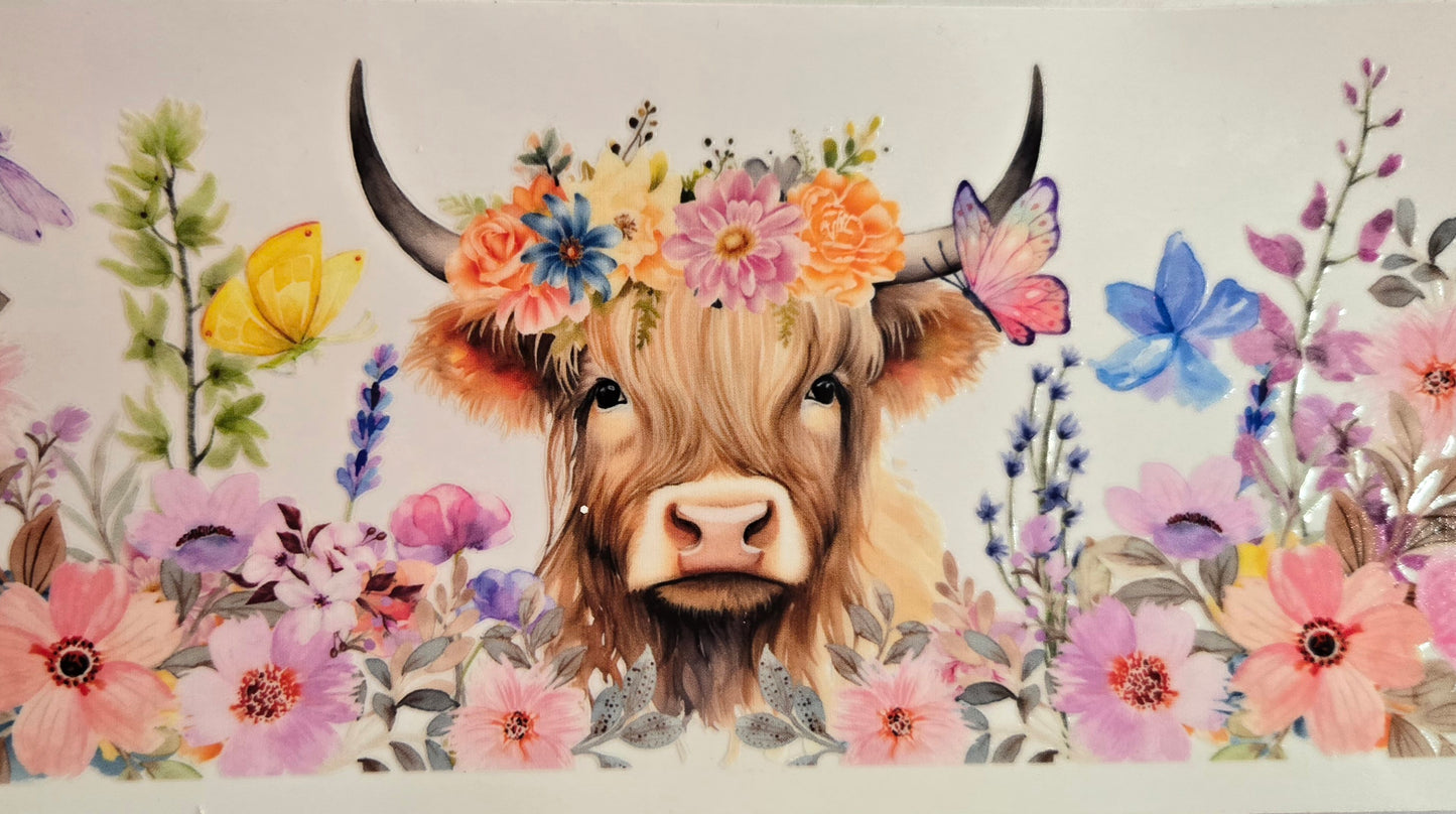 Cows Highland