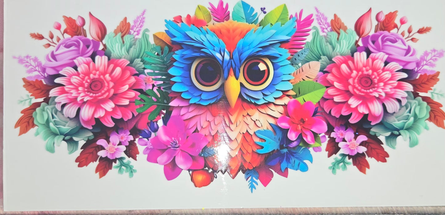 Animals of all
