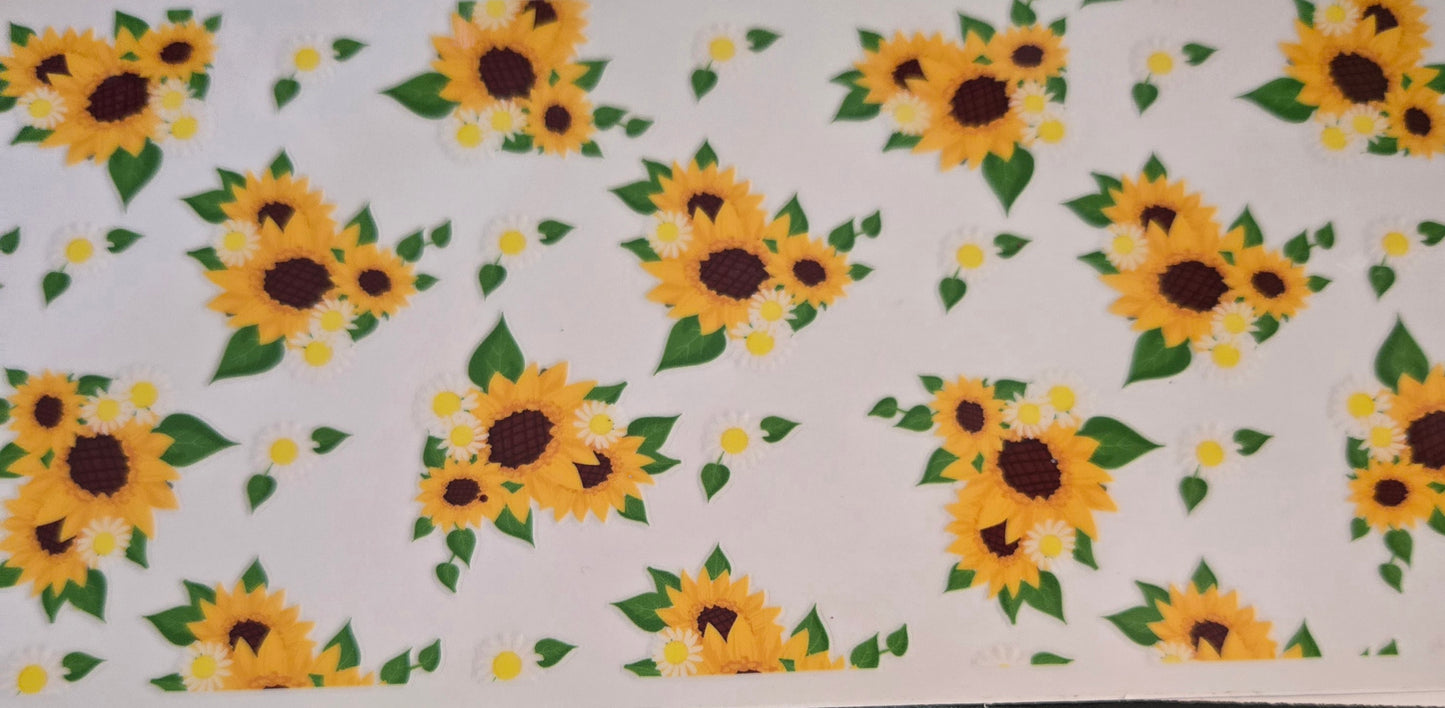 Sunflower's,Flowers & Plants