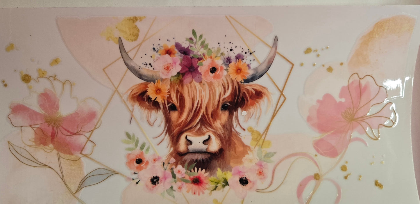 Cows Highland