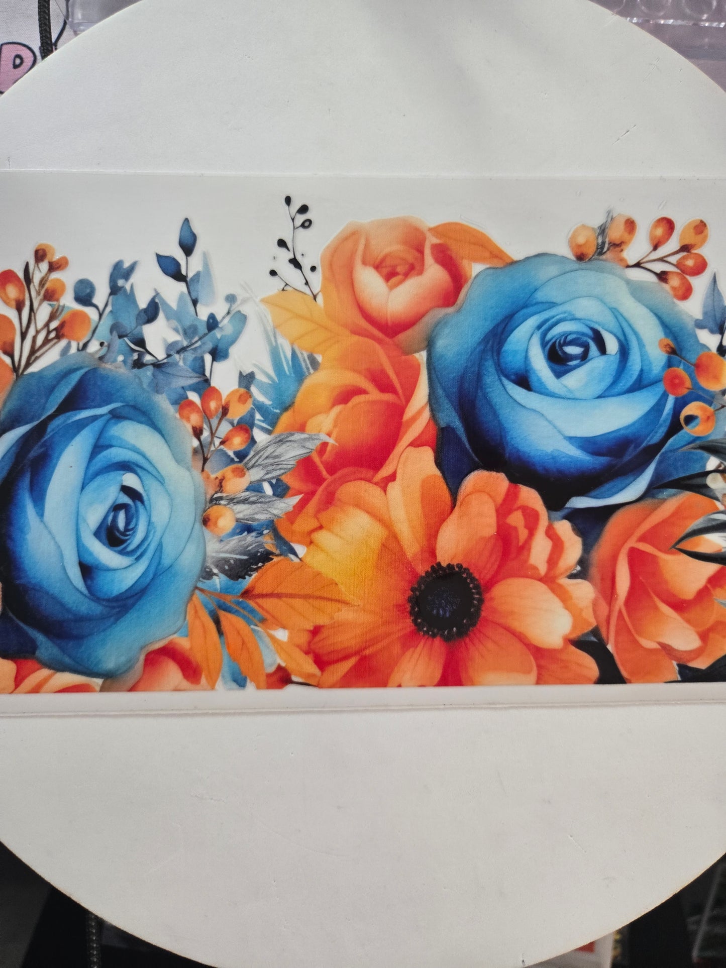 Sunflower's,Flowers & Plants