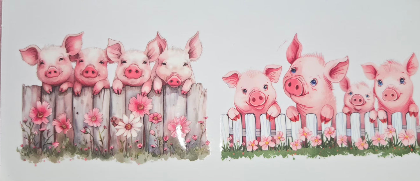Animals of all