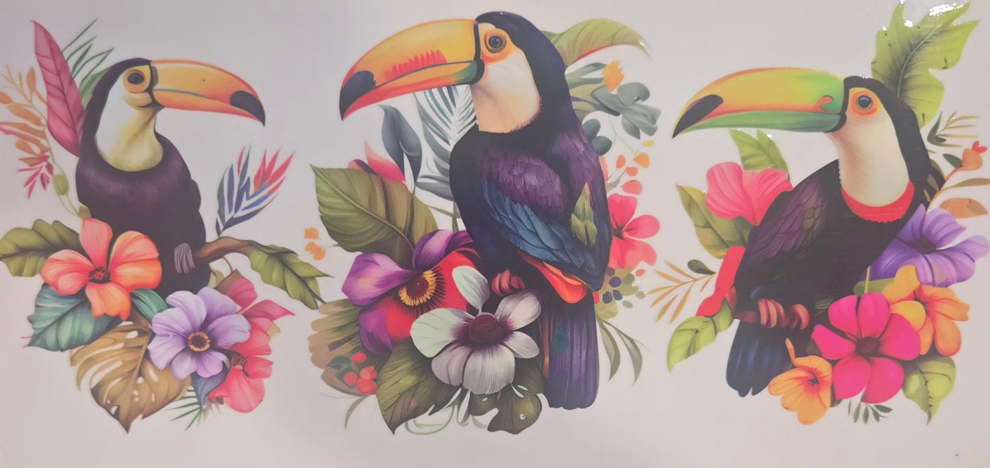 Cat, Dog, Insects, Frogs Animals