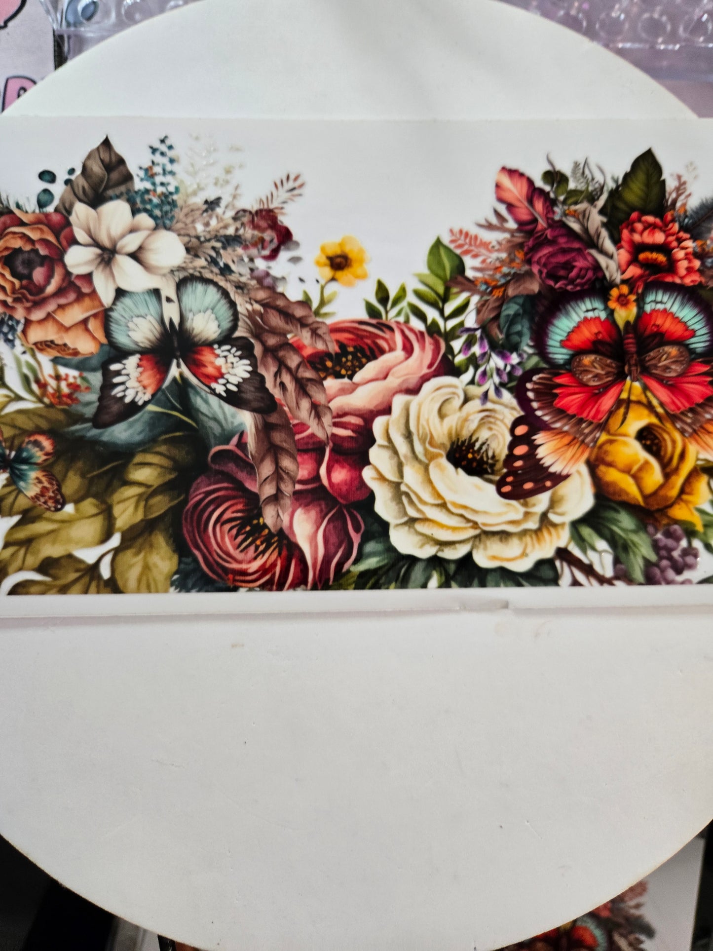 Sunflower's,Flowers & Plants
