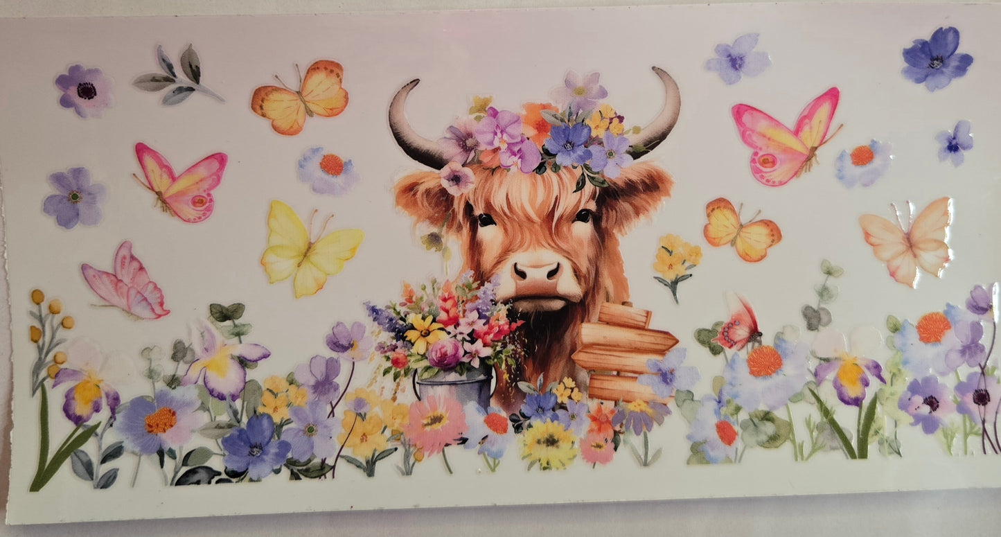 Cows Highland