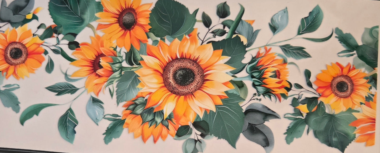 Sunflower's,Flowers & Plants