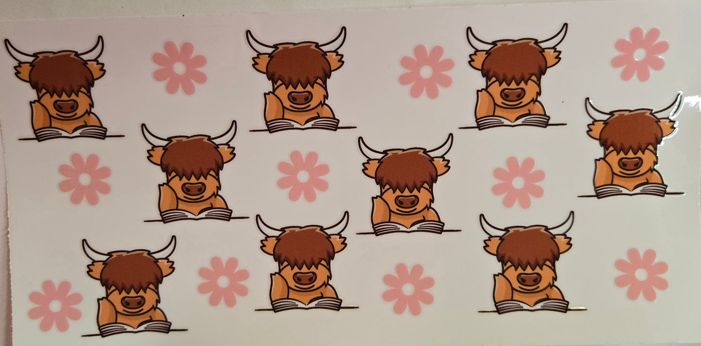Cows Highland