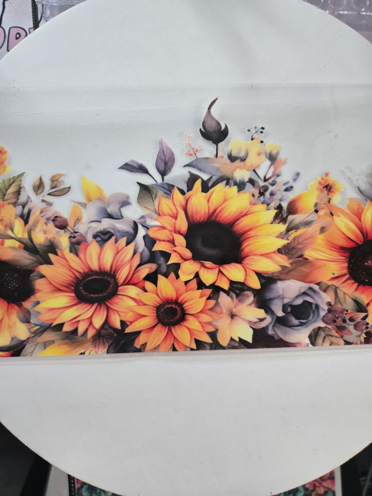 Sunflower's,Flowers & Plants