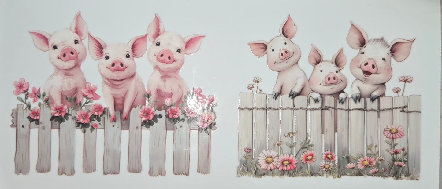 Animals of all
