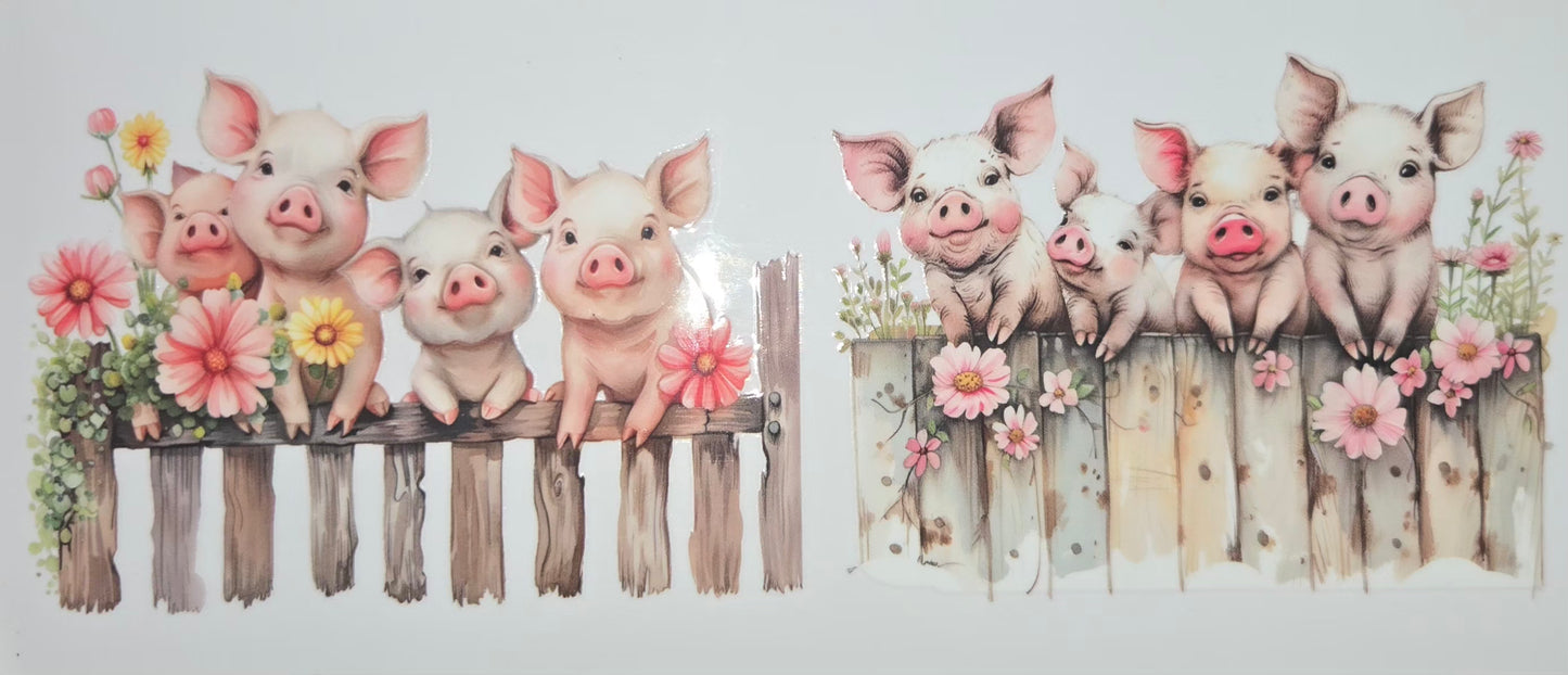 Animals of all