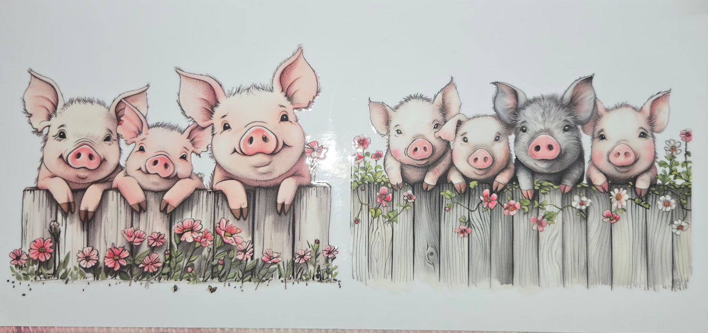 Animals of all